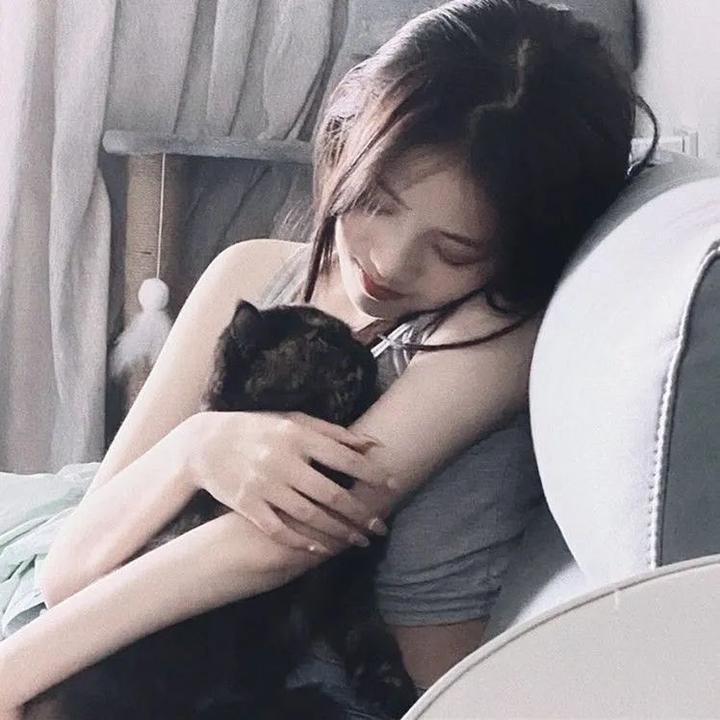 猫侍剧场版