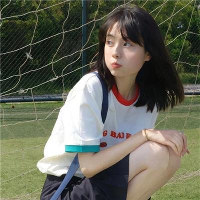 蠢蛋进化论